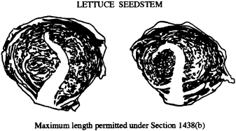 Image 1 within § 1438. Head Lettuce Defects.